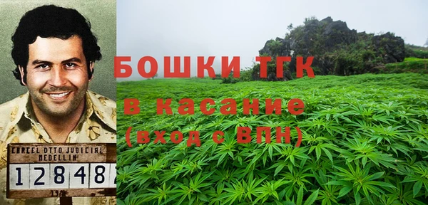 a pvp Пересвет