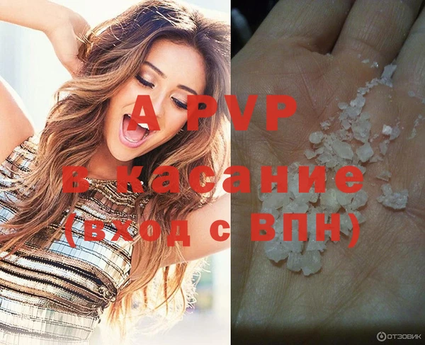 ПСИЛОЦИБИНОВЫЕ ГРИБЫ Покачи