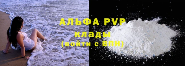 a pvp Пересвет