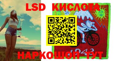 шишки Абакан