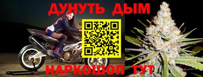 шишки Абакан