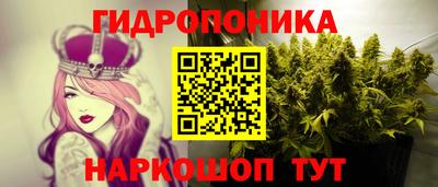 шишки Абакан