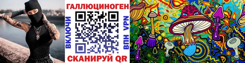 купить наркоту  Амурск  Псилоцибиновые грибы GOLDEN TEACHER 