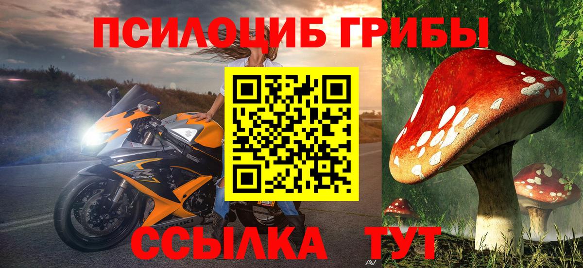 Галлюциногенные грибы Cubensis  Вход с VPN  Амурск 