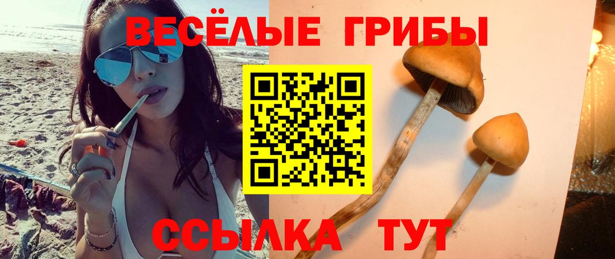 Псилоцибиновые грибы MAGIC MUSHROOMS  Амурск 