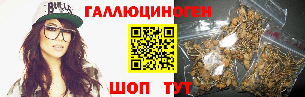 Псилоцибиновые грибы Cubensis  Вход с VPN  Амурск 